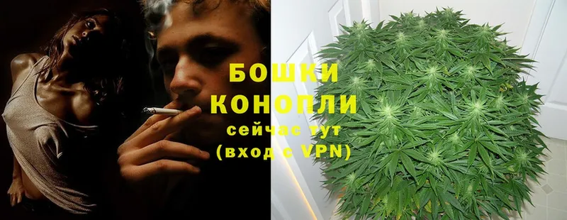 Каннабис OG Kush  купить наркоту  blacksprut ONION  Шумерля 